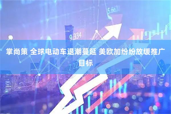 掌尚策 全球电动车退潮蔓延 美欧加纷纷放缓推广目标