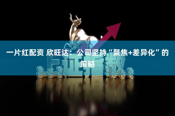 一片红配资 欣旺达：公司坚持“聚焦+差异化”的策略