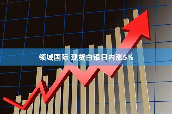 领域国际 现货白银日内涨5%